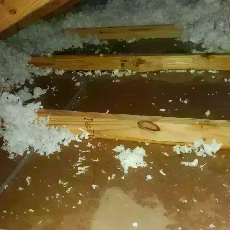 Attic Water Damage in Dover, TN